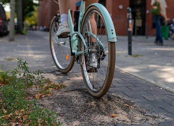 Ein Fahrrad fährt über einen holprigen Radweg.